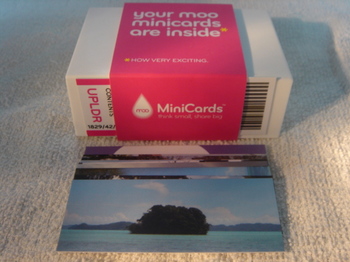 20071002_moo_minicards.jpg