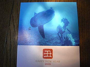 20090130_new_year_greeting_card.jpg