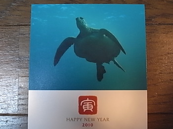 20100306_new_year_greeting_card.JPG