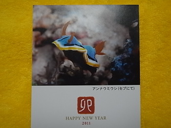 20110203_new_year_greeting_card.JPG