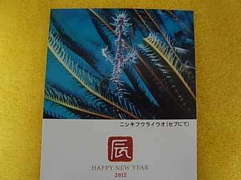 20120121_new_year_greeting_card.JPG