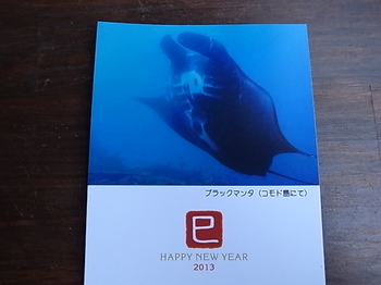 20130827_new_year_greeting_card.JPG