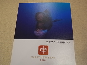 20161223_new_year_greeting_card.JPG